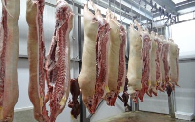 The Role of Humidification in Abattoirs