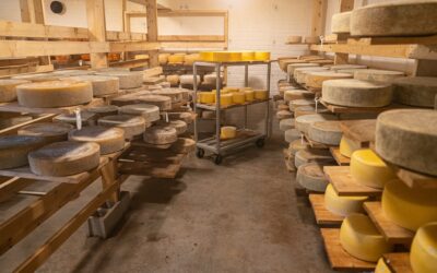 The Importance of Humidity Control in Cheese Curing