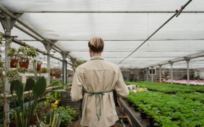 The Role of Humidification in Greenhouses