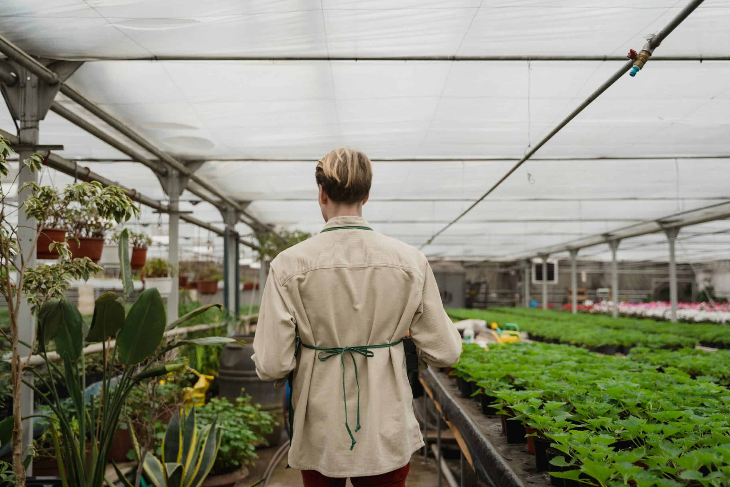 greenhouse humidifier