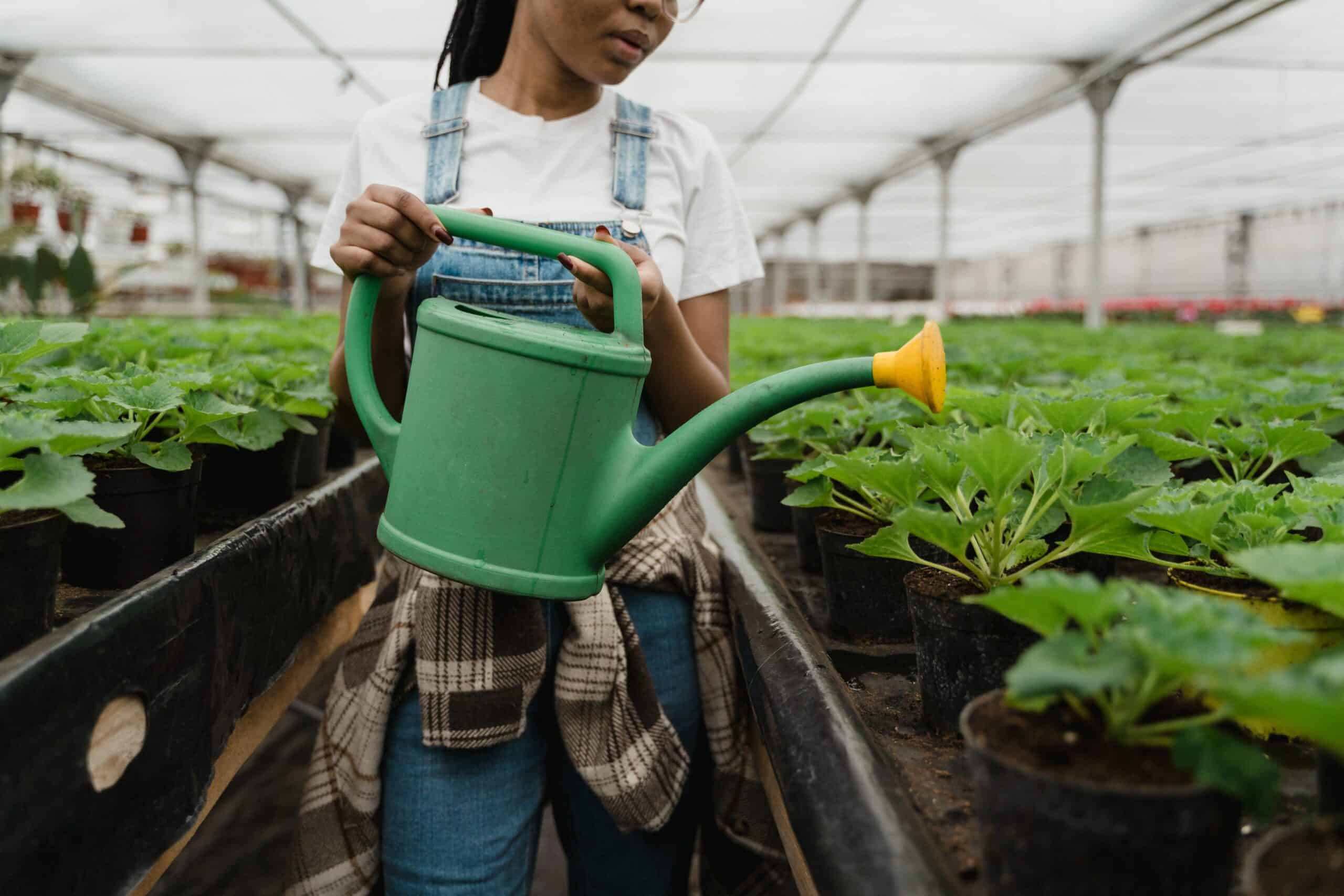 Greenhouse Humidification Solutions